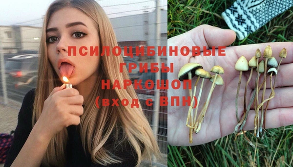 эйфоретик Пестово