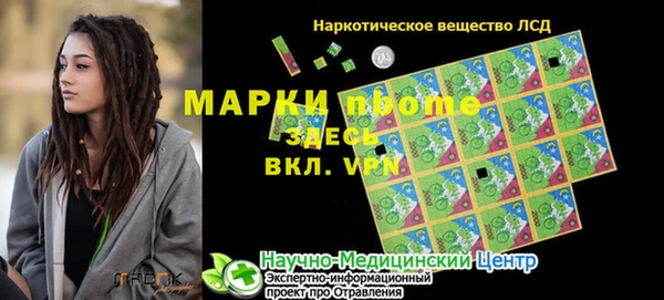 ПСИЛОЦИБИНОВЫЕ ГРИБЫ Вязники