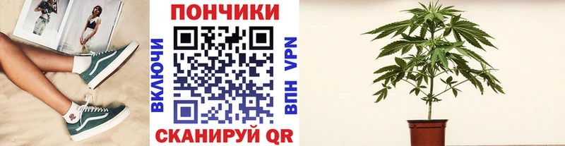 где можно купить   Сортавала  Конопля план 